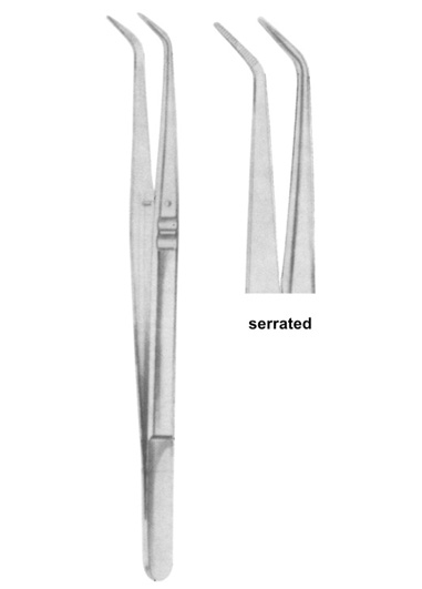 TS-2341